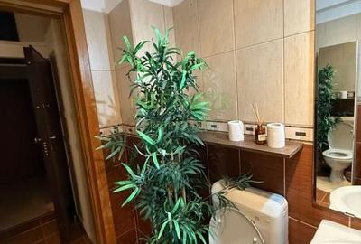 Studio Greenfield mobilat utilat - 6