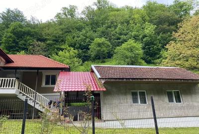 Casă cu 3 camere în Criș - 6