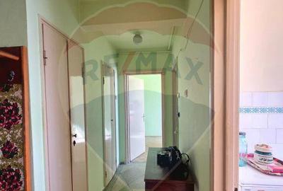 Apartament doua camere Gura Campului Medias - 13