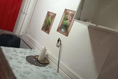 Apartament cu 2 camere semidecomandat în Craiovița Nouă