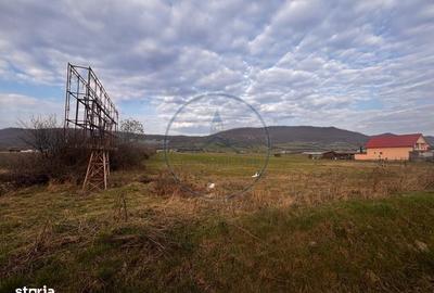 Teren de 12300 mp, în Șieu - 5