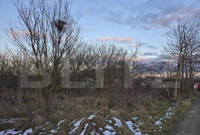 Teren 8 ari, Martinesti - 3