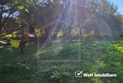 Teren intravilan, 977 mp, Utr Is_A,  Manastur, zona str Campului - 2