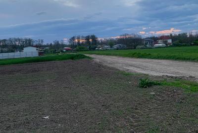 Teren Construcții intravilan de 1562 mp, în Afumați - 2