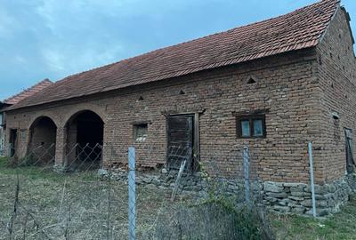 Densuș, casă de vânzare, pozitie extraordinara, 3000 mp teren - 3
