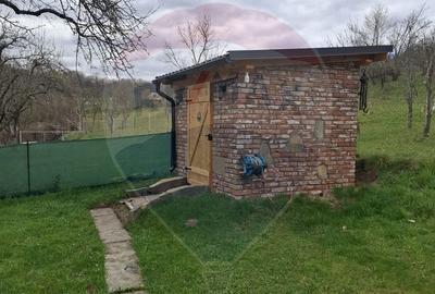 Casă cu 3 camere cu Teren 1256 Mp în Bârsana - 12