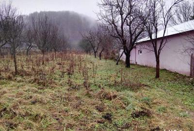 Teren în Bezdead - 2