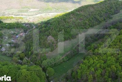 Teren de 9083 mp, în Meteș - 11