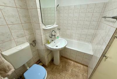 Garsonieră decomandată, mobilată în Brazda lui Novac - 5