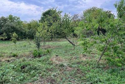 Casă cu 4 camere în Stolojani - 7