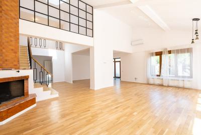 Vanzare Vila cu piscina Iancu Nicolae - 4