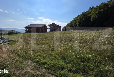 Teren de 875 mp, în Șieu - 4