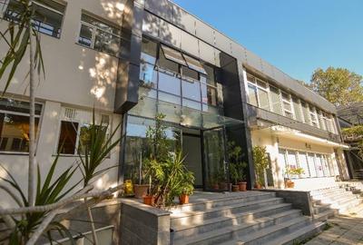 0% comision! Inchiriere birouri Domenii, 663 - 1643 mp - 4