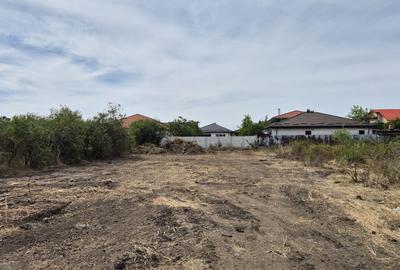 Teren intravilan 1000 mp - Domnesti - 4