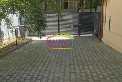 Inchiriez casa, singur in curte in zona Iriceanu - Aparatorii Patriei - 14