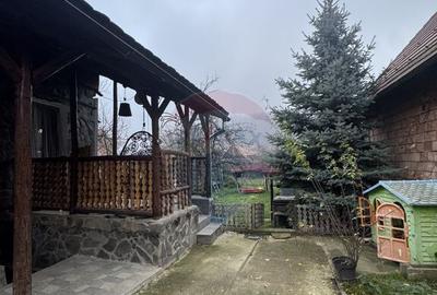 Casa saseasca autentica in A?el - 13