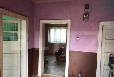 Casa Odoreu , Judetul Satu Mare - 2