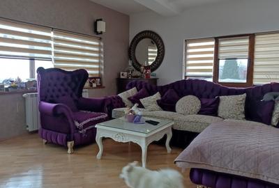 Casa / vila Craiovei , complet mobilata / utilata , finisaje moderne ! - 8