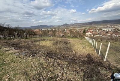 Spațiu comercial, de 500 mp, în Ciumbrud - 4