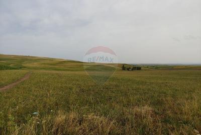 Teren agricol intravilan de 300000 mp, în Stroiești - 15