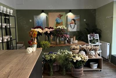 Florarie de vanzare Brasov - 3