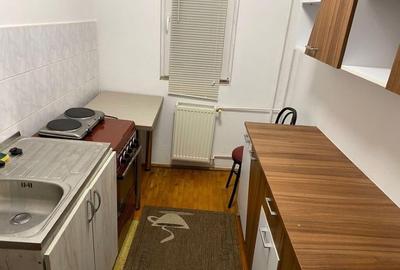 Închiriere apartament cu 1 cameră în Complexul Studențesc Timișoara - 2