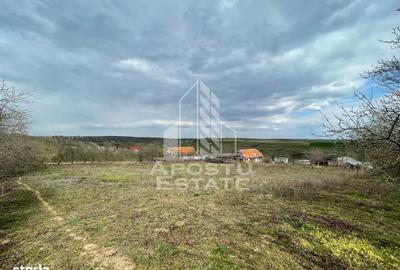 Spațiu comercial, în Moșnița Nouă - 2