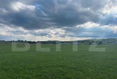 Teren de 2800 mp, în Central