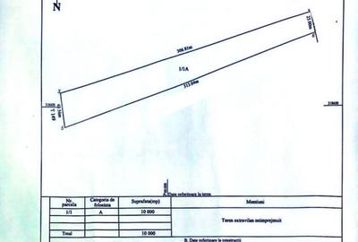 Teren extravilan, 1 ha, zona Centura de Nord, Simnicu de Sus - 2