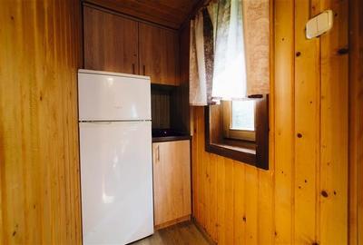 Casa de vacanta (Borzont, jud. Harghita) - 9