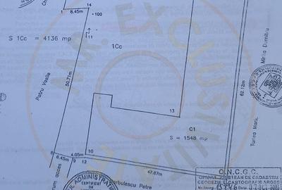 Proprietate industriala de vanzare – Hartiesti, jud. Arges - 4