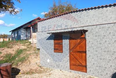 Casă cu 3 camere cu Teren 1732 Mp în Merișor - 8