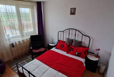Apartament cu 2 camere în Calea București - 3