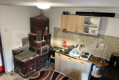 Casa renovata Varvoru de Sus, 30 mpu, 1000 mp curte. - 12