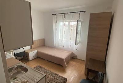 Garsoniera Renovata Buziasului - 1