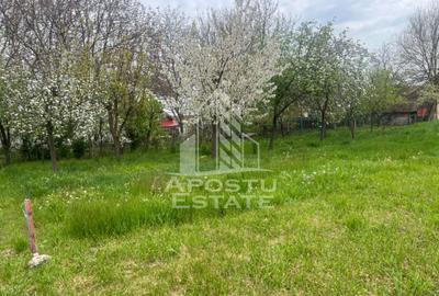 Teren Construcții intravilan de 1001 mp, în Sânandrei - 2