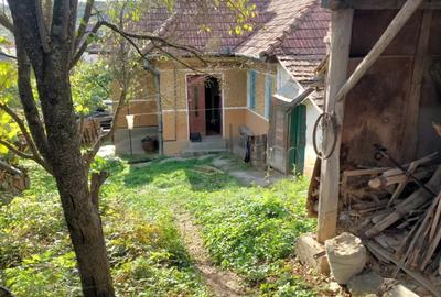 Casa de vanzare in Ludus - 3