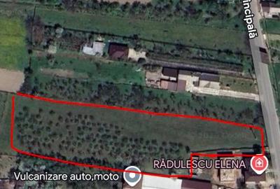 Teren Construcții intravilan de 7000 mp, în Berevoești - 2