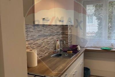 Apartament cu 2 camere, mobilat în Gruia - 16