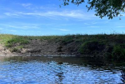 Casa si spatiu comercial in Singureni, Giurgiu - 2