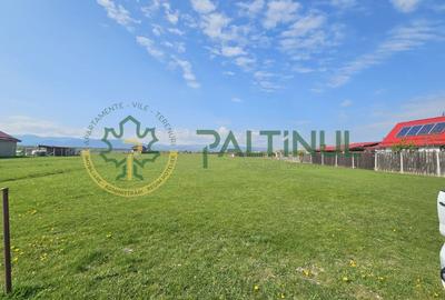 Teren agricol extravilan de 1500 mp, în Șelimbăr - 2