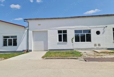 Spațiu comercial, de 1,059 mp, în Lugoj - 5