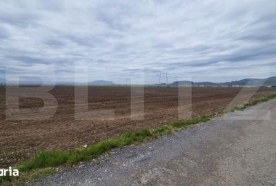 Teren de 15000 mp, în Hărman - 1