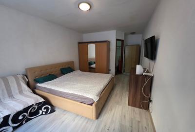 Garsonieră decomandată, mobilată în Dristor - 5