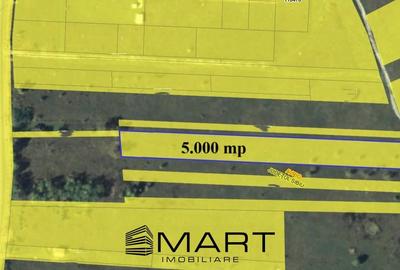 Teren intravilan 5000mp Valea Avrigului - 6