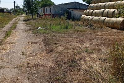 Teren Construcții intravilan de 6000 mp, în Halmeu - 3