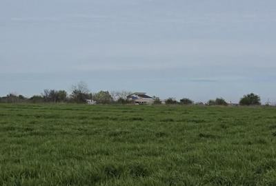 Vanzari terenuri in Agigea zona Golful Pescarului - 10