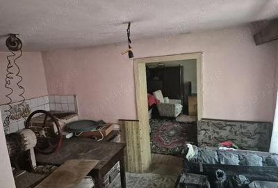 Casă cu 4 camere cu Teren 1163 Mp în Iablanița - 7