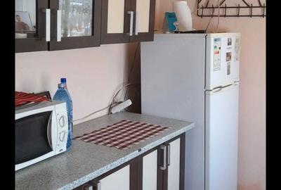 Casă cu 2 camere în Dosu Bricii - 7