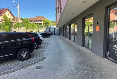 Spațiu comercial, de 60 mp, în Săldăbagiu de Munte - 4